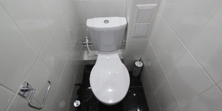 Ремонт туалета в Тбилиси: сколько стоит и как выбрать мастера