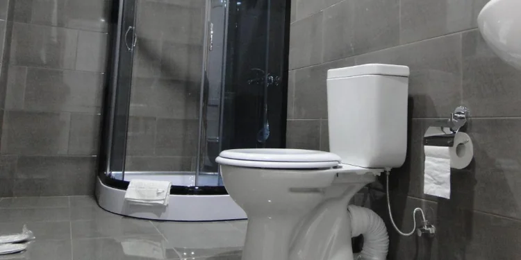 Сколько стоит ремонт туалета в Грузии: реальные расценки