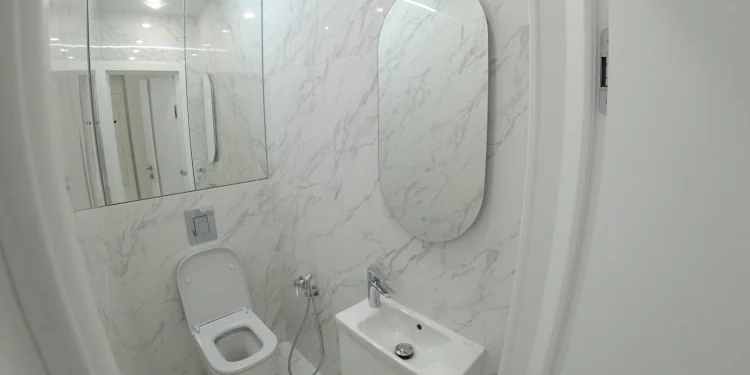 Ремонт туалета с материалами в Грузии: удобно или переплата?